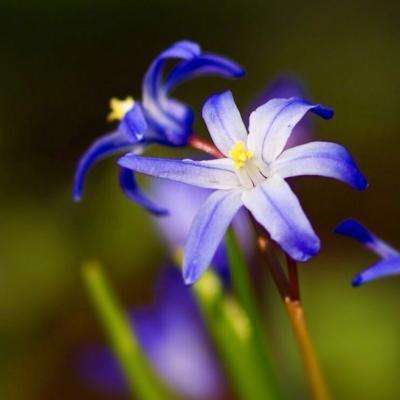 半岛手机网页版登录入口